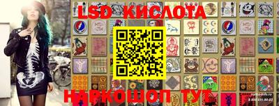ПСИЛОЦИБИНОВЫЕ ГРИБЫ Кинель