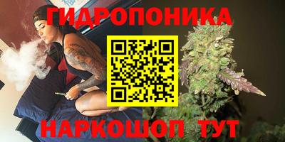 ПСИЛОЦИБИНОВЫЕ ГРИБЫ Кинель