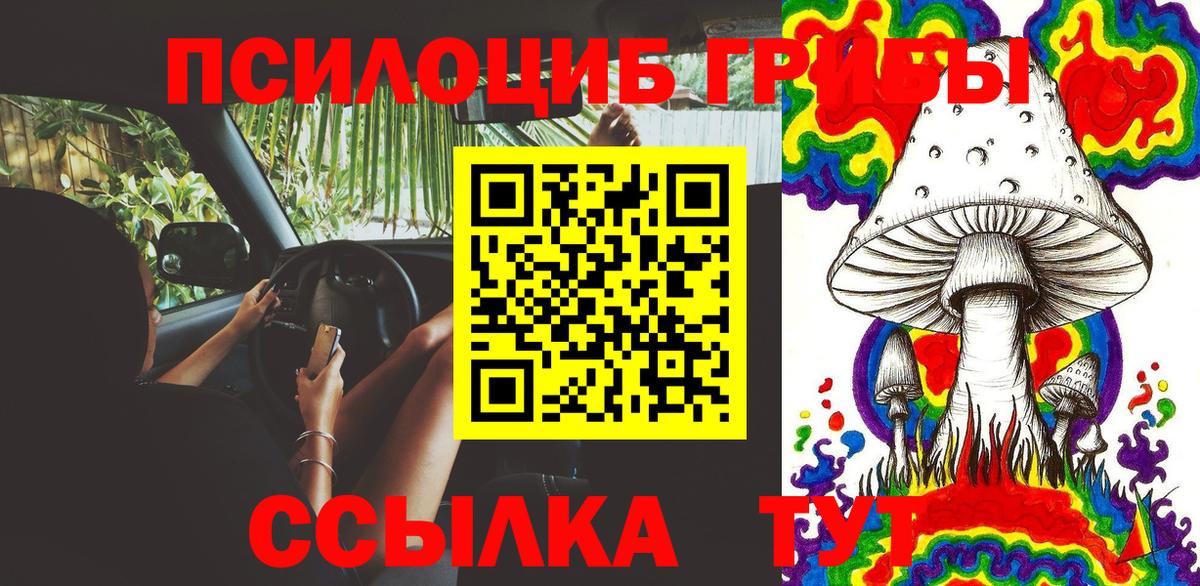 Галлюциногенные грибы GOLDEN TEACHER  Вход с VPN  Курчатов 