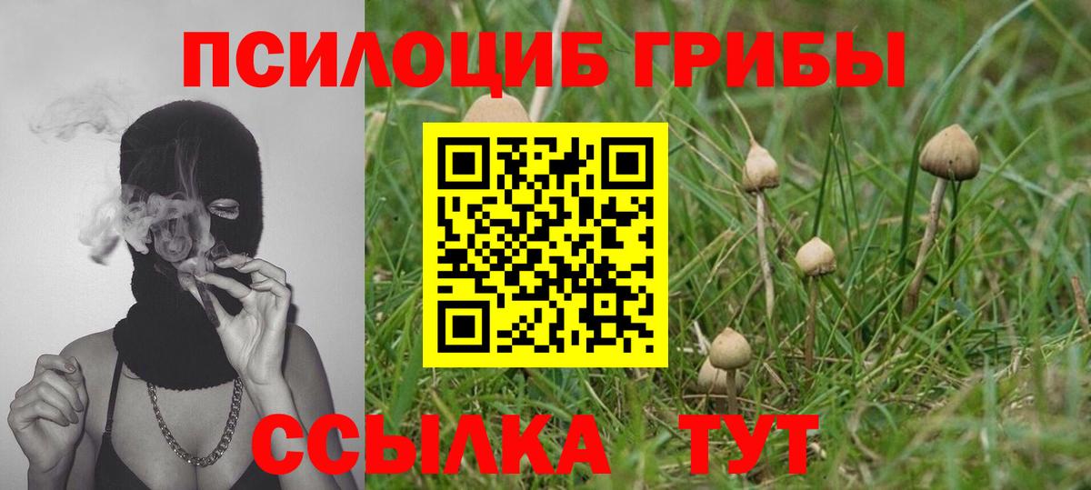 Псилоцибиновые грибы Magic Shrooms Курчатов